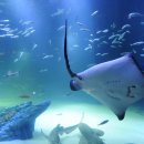 대구신세계 문화홀 이미지