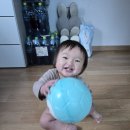 탱탱볼 | 아이들이 푹 빠지는 다이소 탱탱볼 후기! 펭귄 탱탱볼 솔직 리뷰