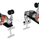 빈센트 핏 이미지