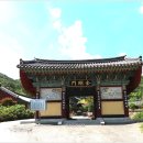 성륜사 Daum카페