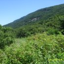 중머리재 이미지