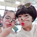 제주도 푸른밤 이미지