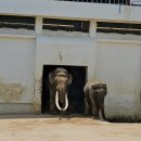 상아어린이공원 이미지