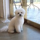 멍분의 멍 이미지