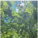 현대공인중개사 이미지