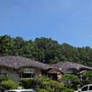 홍화약초식당 이미지