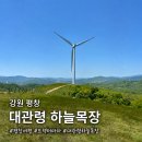하늘아래목장 | 평창 아이와 가볼만한곳 대관령 하늘목장｜트랙터마차·동물체험 후기