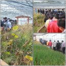 인천사리울중학교 이미지