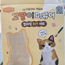 내돈내산후기 내마음대로 색칠하는 Pinkfoot 고양이피규어 만들기 컬러링DIY세트
