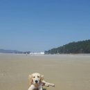 바다산책펜션 이미지