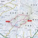 1231 이미지