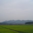 고향산천 Daum카페