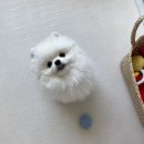 펫토 | 펫매트 강아지매트 비교 디팡 펫토 퍼핑 휘슬펫 솔직 후기
