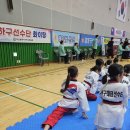 라라태권도 이미지