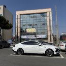 포항강도다리협동조합 | 포항 횟집 맛에 반하고 퀄리티에 반했던 포항 흥해시장 22번횟집