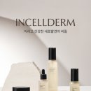 인셀덤 - 부평구 주부토로 231 | 인셀덤