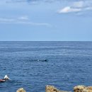 갤럭시아스포츠클럽 더케이호텔점 | 25년 성취 케이크