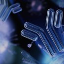 (주)바이오닷 이미지