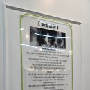 구미동 체형교정, 플랜트 운동센터에 다녀온 후기(분당 체형분석)