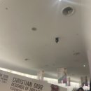 의상디자인 야간 | 의상디자인 전공생의 동대문디자인플라자 디올 전시회 디자이너 오브 드림스 관람 후기