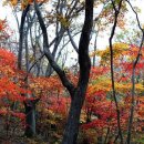 곡성-157 이미지