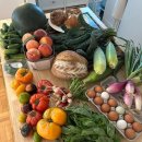 초보집밥요리 이미지