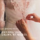 [🕊️W-8] 드레스투어2-1. 셀레네웨딩 금요일 드투 후기, 준비물, 주의사항(계약O)