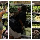 대원 태양광발전소 이미지