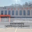 조록나무 뿌리 형상물 | 포천 가볼만한곳 예술정원1999 자연예술테마파크 솔직 후기