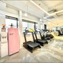 임스타핏 이미지