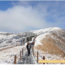 (주)예안(1종) | 강원도 태백시 문곡동(文曲洞)에 위치한 태백산(太白山)의 설경(雪景)