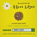 국화야오란다