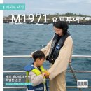 대정약국 | 제주도 돌고래 M1971 요트투어 :: 아이와 돌고래 만난 리얼 후기