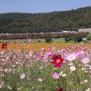 북구청건너 버스정류장 이미지