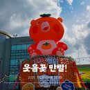 청도천10 | 웃음꽃 만발! 2025 청도반시축제 및 코아페 다녀온 후기