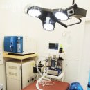 아델 동물병원 이미지