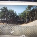 정동진공인중개사사무소 이미지