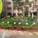 서울금옥초등학교 이미지