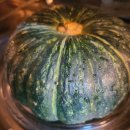 토실토실 2농장 이미지