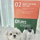 배변의기술 | 물만 바꿨는데 배변 냄새가 줄었다고요? 너즐퍼즐 피코 펫워터 후기