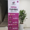 카멜리아스터디카페원주무실점 이미지