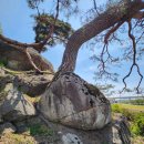 빗접바위 이미지