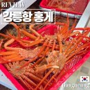 해변회센타 | 강릉항 회센터 찐 후기 : 안목해변 가성비 홍게 맛집은 여기
