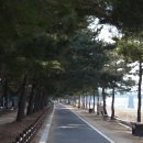 서재골 이미지