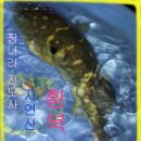 반구정만해치정 이미지