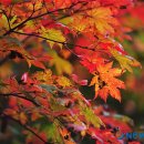개울가 - 서산시 마애삼존불길 83 | 개울가