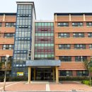 강일초등학교 이미지