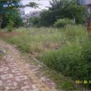 관창로4번길 이미지