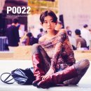 P0022 이미지