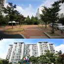 별망초앞 이미지